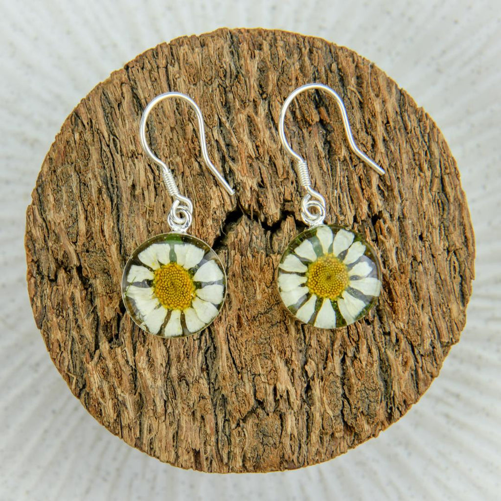san marco small round silver and resin hook earrings with a dried white flower encased in the resin