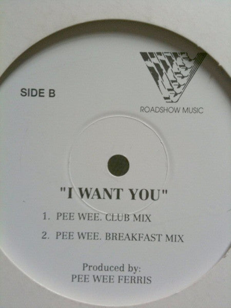 Savage Garden : I Want You (12", Single, Promo)