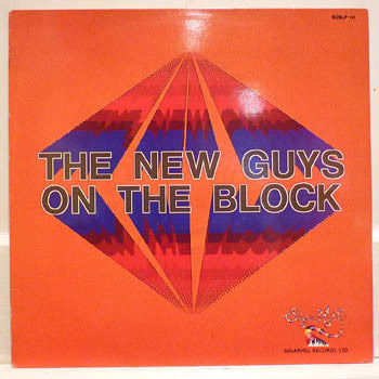 New Guys On The Block : The New Guys On The Block (LP, Album)