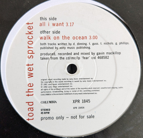 Toad The Wet Sprocket : All I Want (12", Single, Promo)