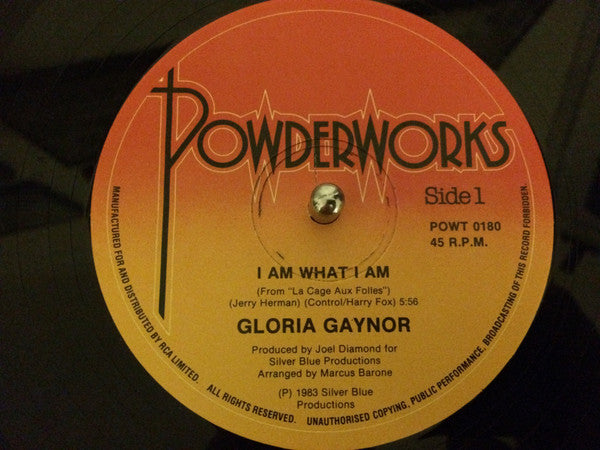 Gloria Gaynor : I Am What I Am (12")