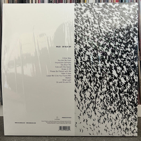 Wilco : Sky Blue Sky (2xLP, Album, Ltd, RE, Sky)