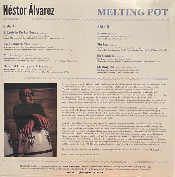 Néstor Álvarez : Melting Pot (LP)