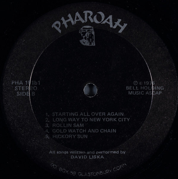 David Liska : Startin All Over Again (LP, Album)