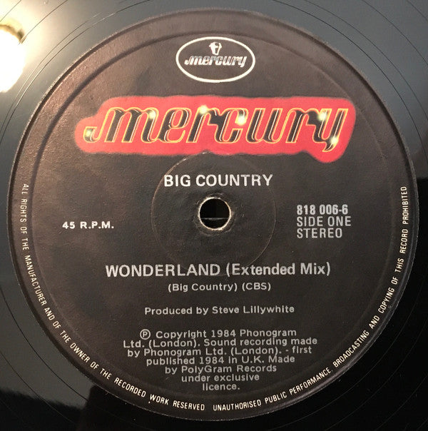 Big Country : Wonderland (12", Single)