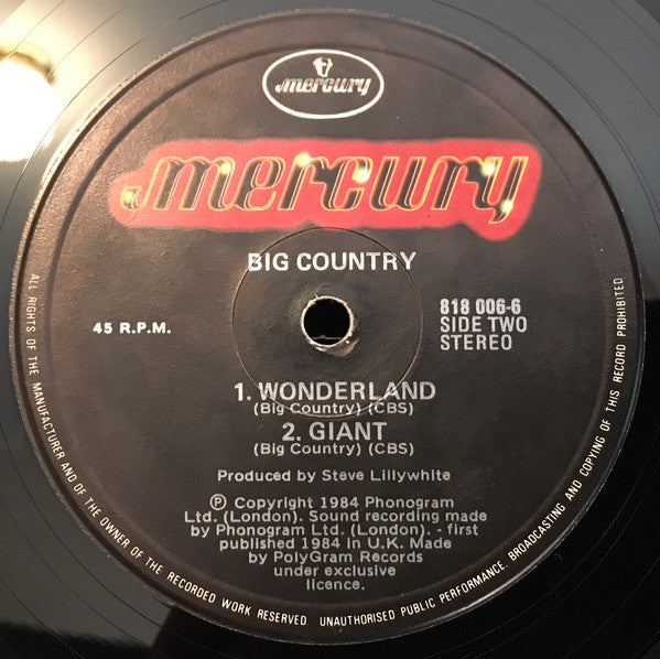 Big Country : Wonderland (12", Single)