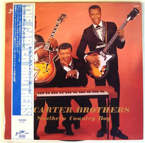 The Carter Brothers : Southern Country Boy (LP, RE)