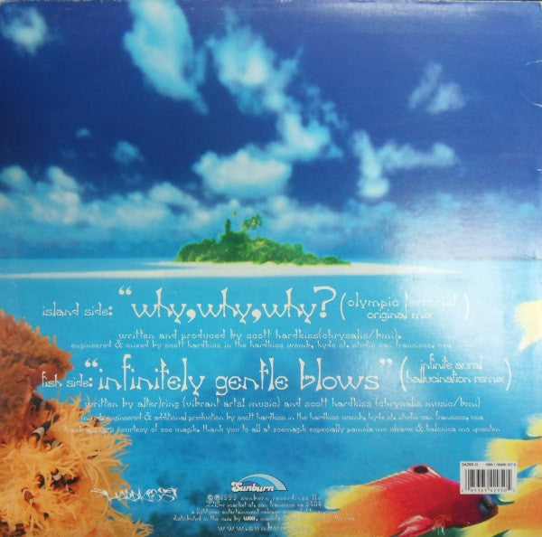 Scott Hardkiss Presents God Within : Crucial Introspection Part Two (12")