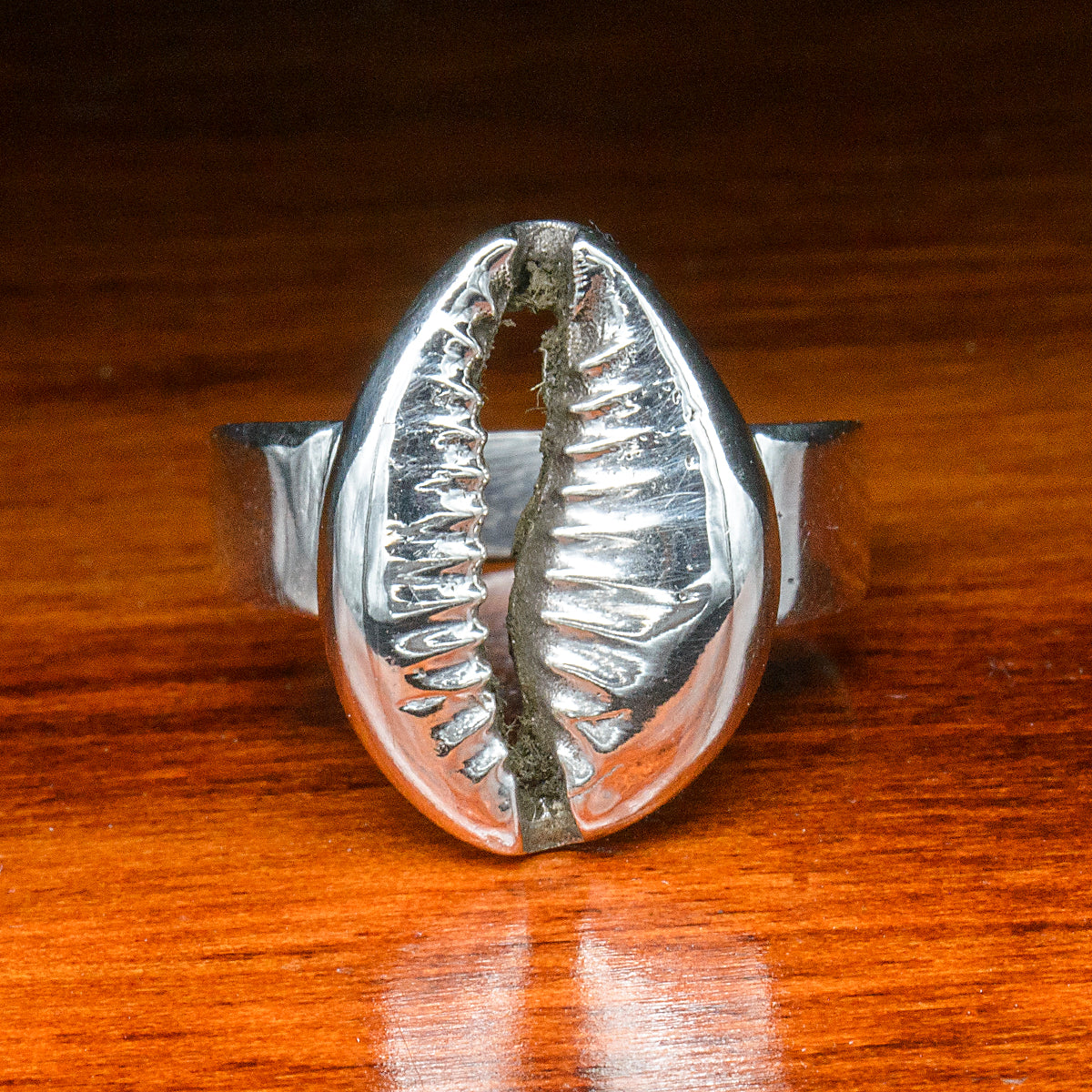 Silver Cowrie Ring - Eclectico
