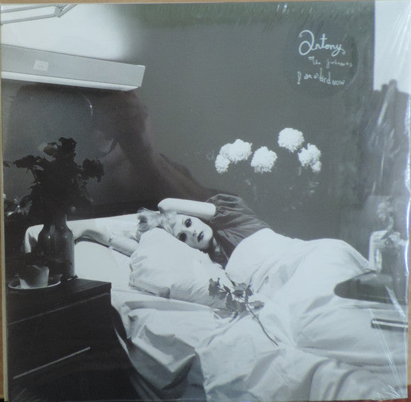 Antony And The Johnsons : I Am A Bird Now (LP, Album, RE)