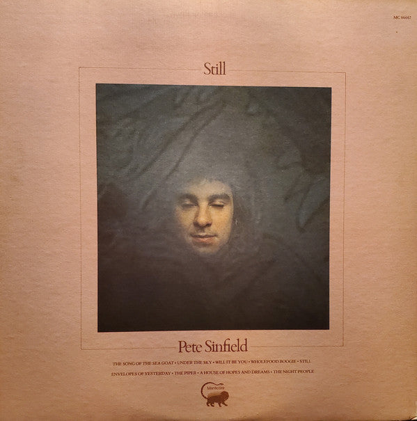 Peter Sinfield : Still (LP, Album, Gat)