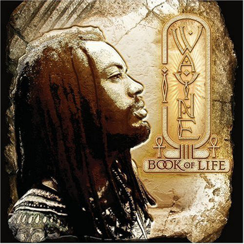 I Wayne : Book Of Life (LP, Album)