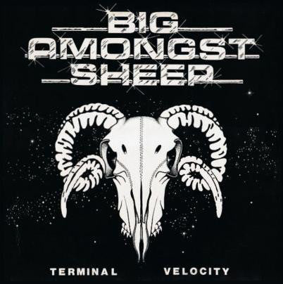 Big Amongst Sheep : Terminal Velocity (LP)