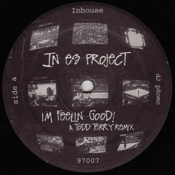 In Es Project : I'm Feelin' Good! (12", Promo)