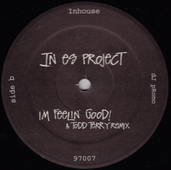 In Es Project : I'm Feelin' Good! (12", Promo)