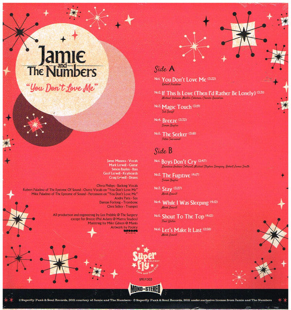 Jamie & The Numbers : You Don't Love Me (LP)