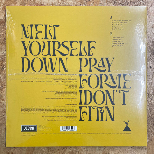 Melt Yourself Down : Pray For Me I Don't Fit In (LP, Album)