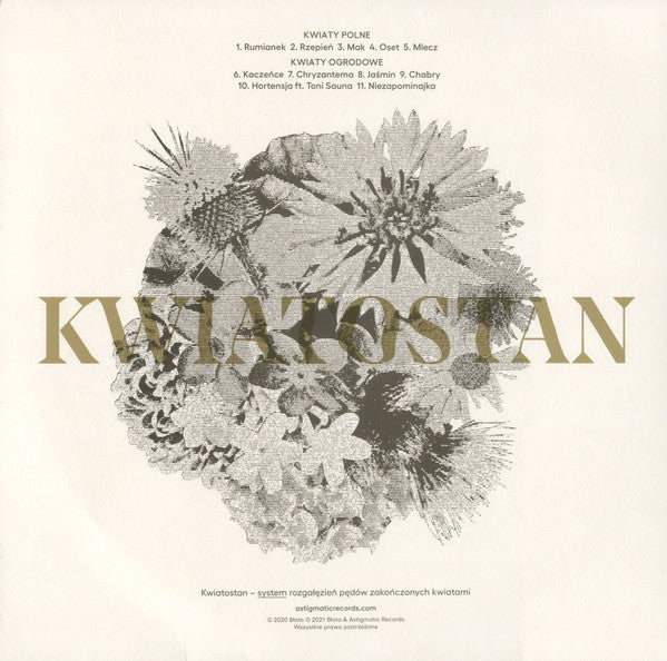 Błoto (2) : Kwiatostan (LP, Album, RP)