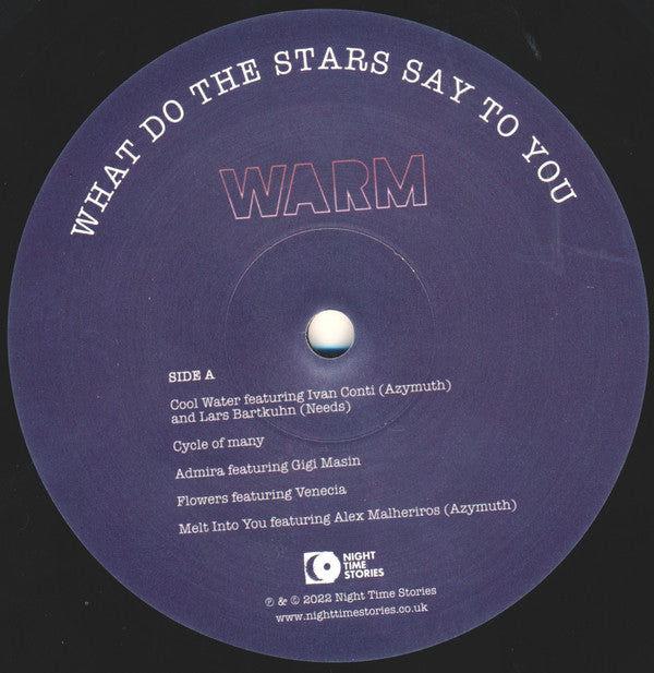 Ron Trent Presents Warm (15) : What Do The Stars Say To You (LP, Album)