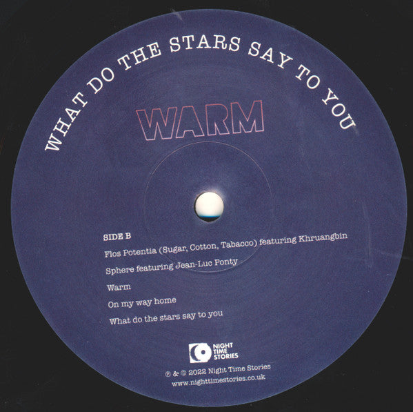 Ron Trent Presents Warm (15) : What Do The Stars Say To You (LP, Album)