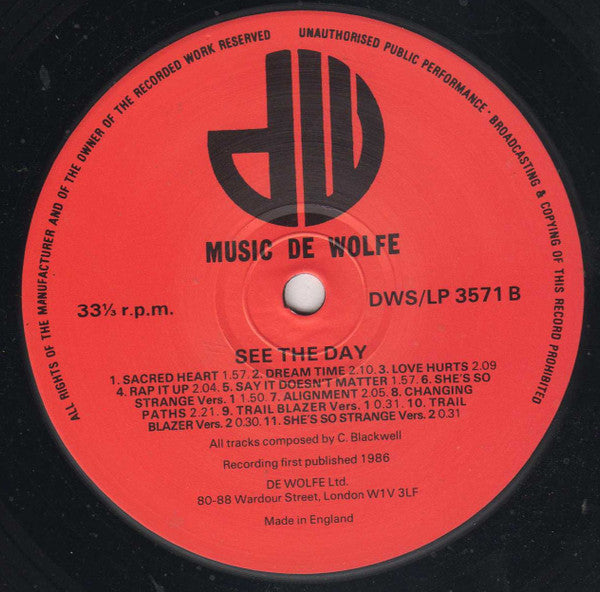 Rhythm Shop : See The Day (LP)