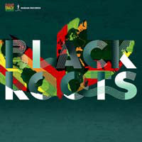 Black Roots : On The Ground (LP)