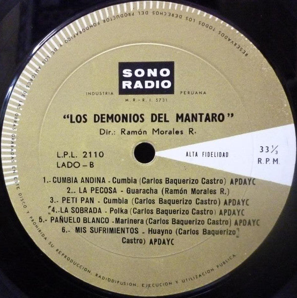 Los Demonios Del Mantaro : Los Demonios Del Mantaro (LP, Album, Mono)