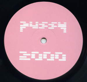 Pussy 2000 : Ain't No Love Around The World / Funky Music (12")